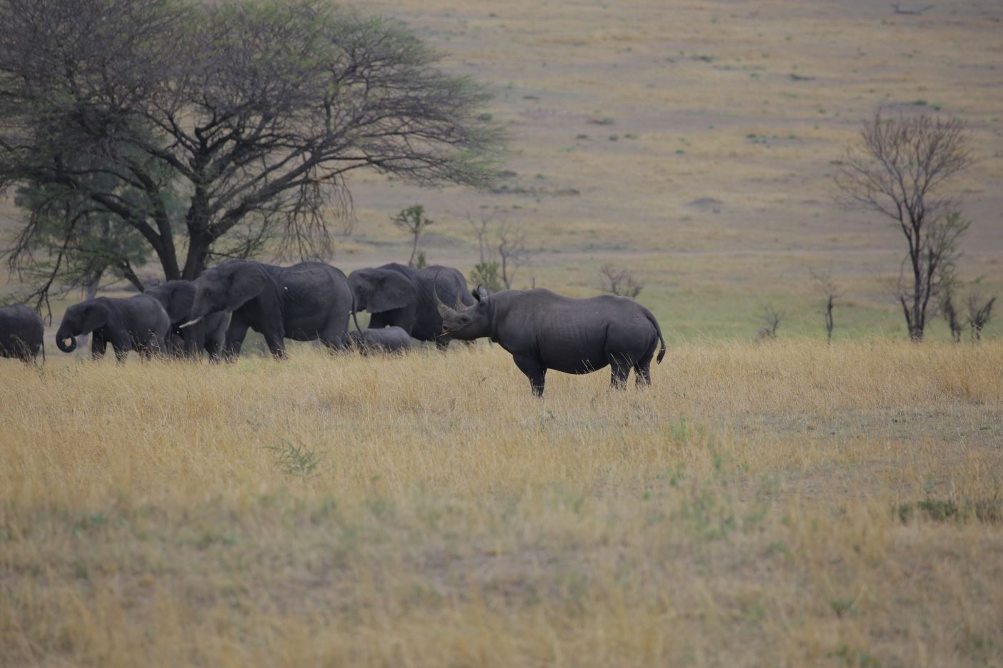 Luxury Tanzania safari
