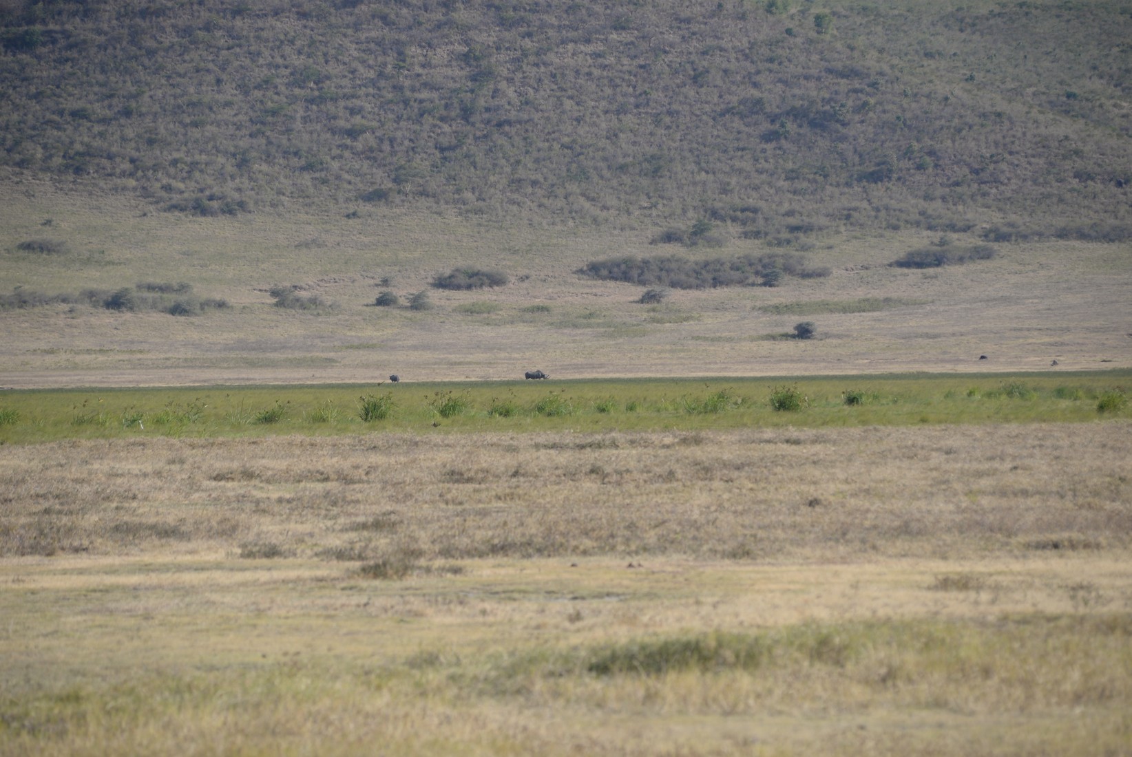 Tanzania safari packages 2026