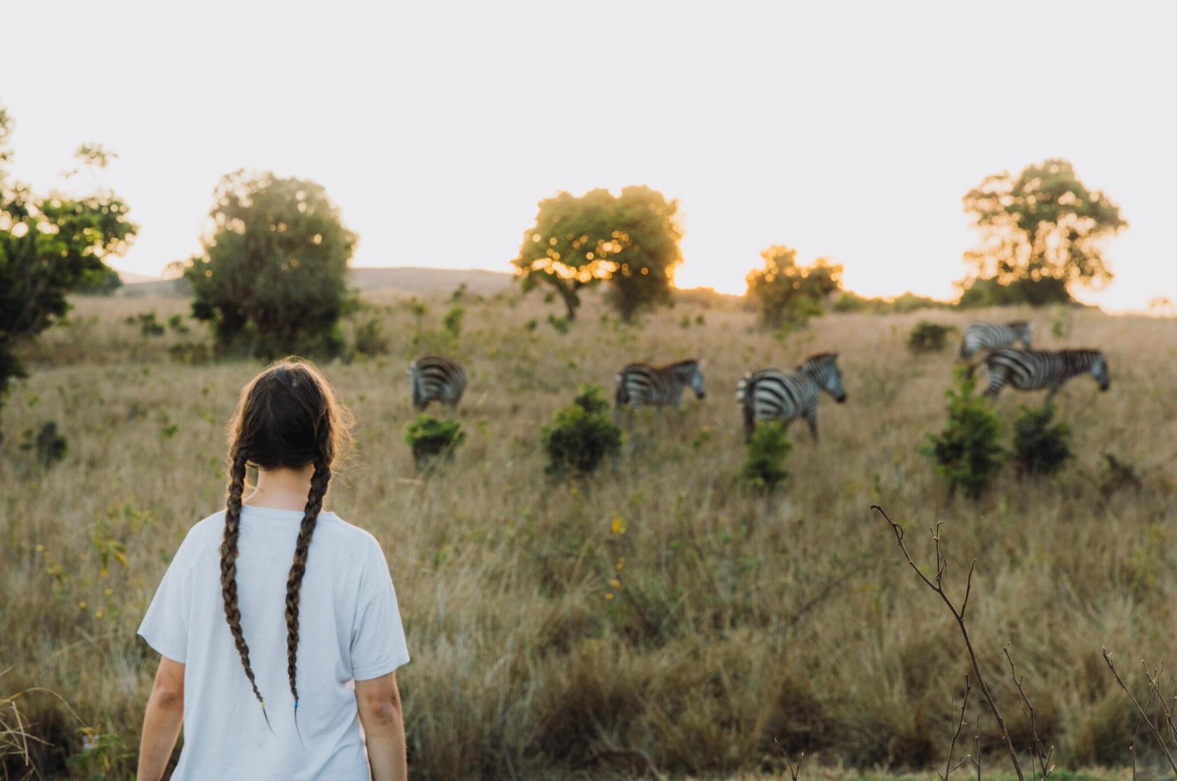 Cost of a Tanzania Safari in 2026
